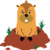 Groundhog Hunter