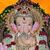 Lord Ganesha UFC Group