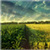 Amazing Countryside Live