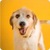 Happy Dog Live Wallpaper