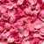 Rose Petals  Wallpaper