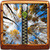 Fantasy Forest Zipper UnLock
