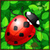Ladybug Jumpy Line