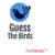 Guess The Birds