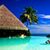 Summer Paradise Live Wallpapers