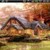 Orange Pet Houses