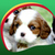 Cute Puppies Live Wallpapers Latest