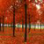 Nature HD LIVE Wallpapers 2015