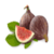 Figs Benefits
