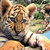 Wildlife Park