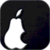 iPhone 4S Screen