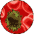 Cure for HIV
