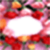 Photo frame flower