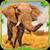 Furious Elephant Simulator