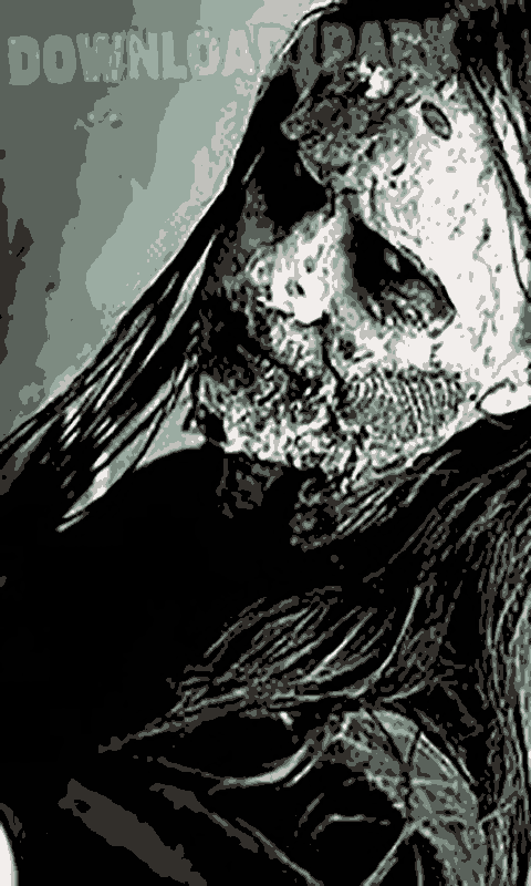 956175_2.png