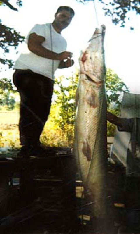 967211_2.jpg