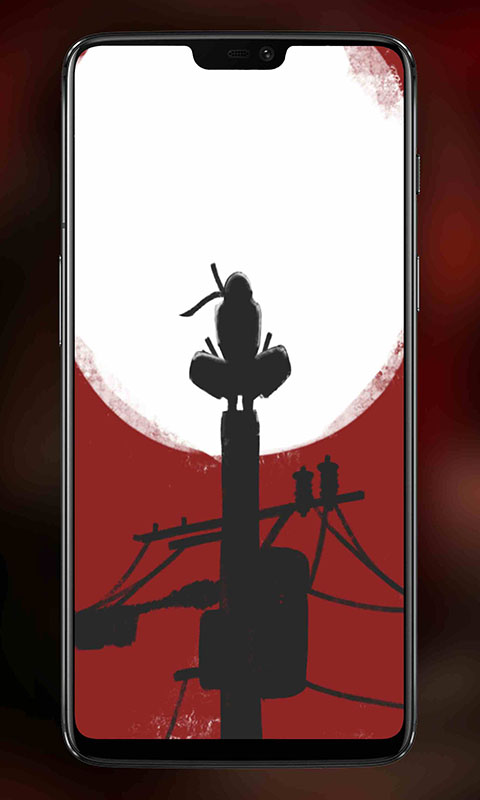 966348_6.jpg