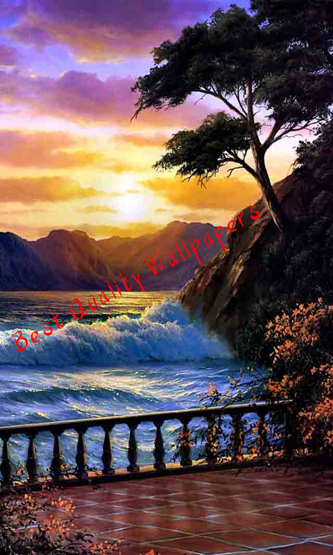 851371_3.jpg