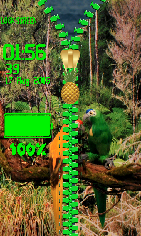 906394_5.jpg