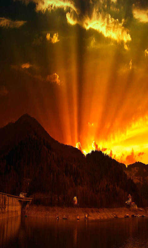 810159_3.jpg