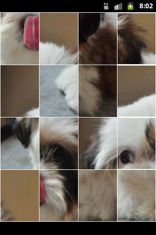 817547_2.png