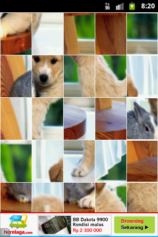 817547_6.png