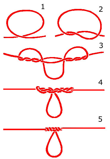 827893_3.jpg