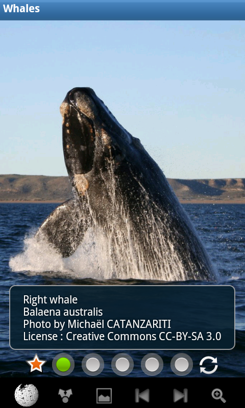 641496_6.png