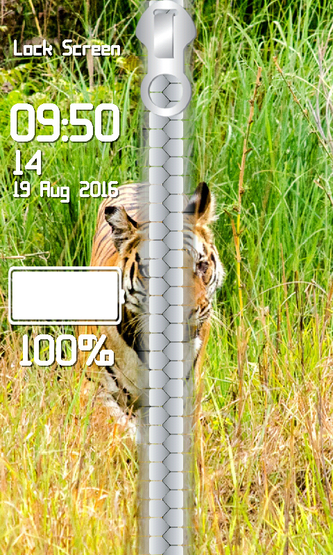 899851_4.jpg