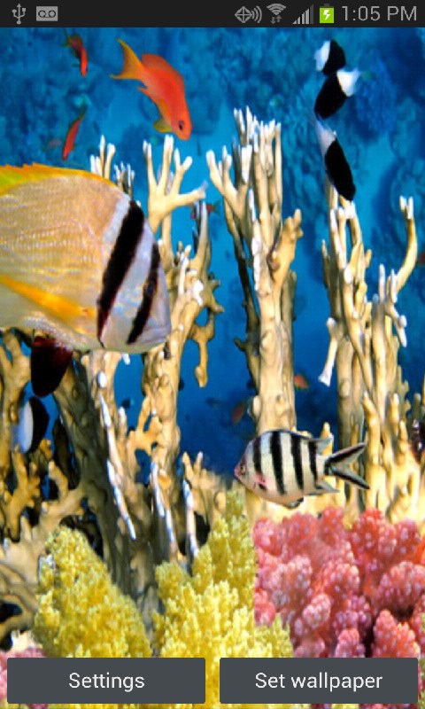 790164_2.jpg