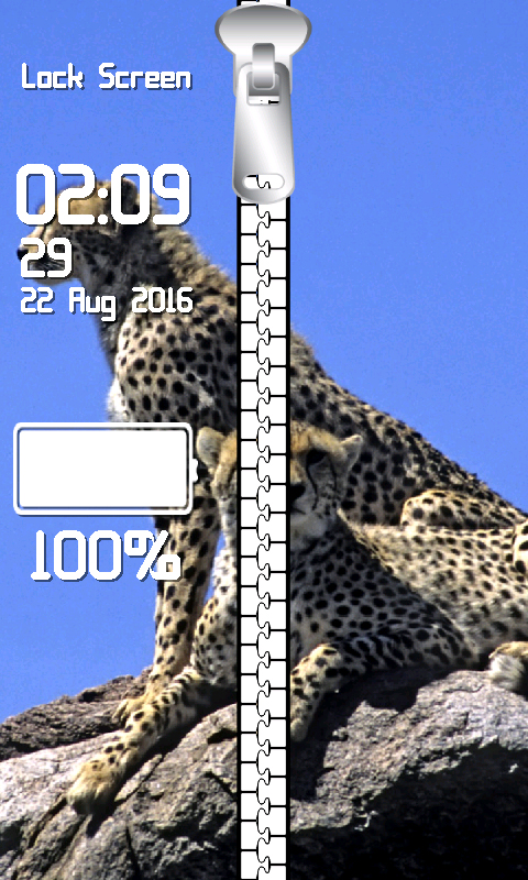 910590_6.jpg