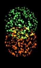 225846_3.jpg