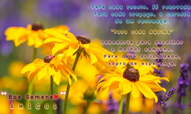 970614_2.jpg