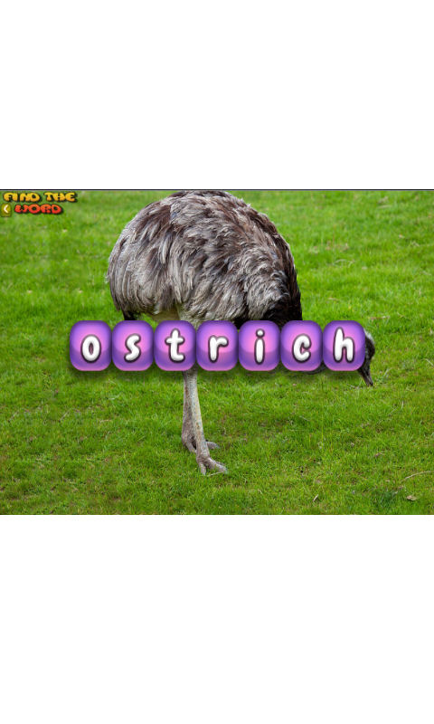 825673_3.jpg