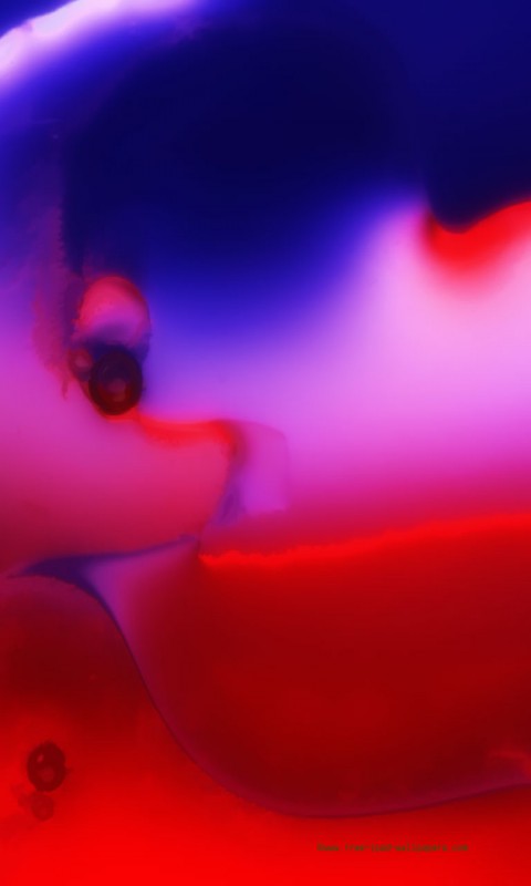 845397_2.jpg