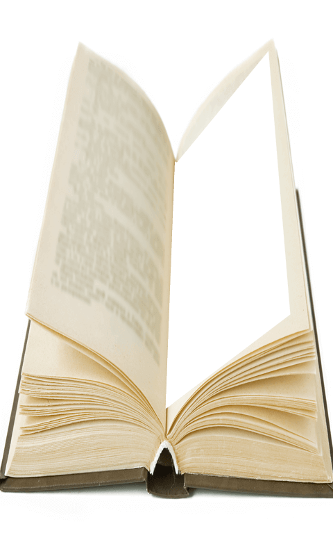 893256_4.png